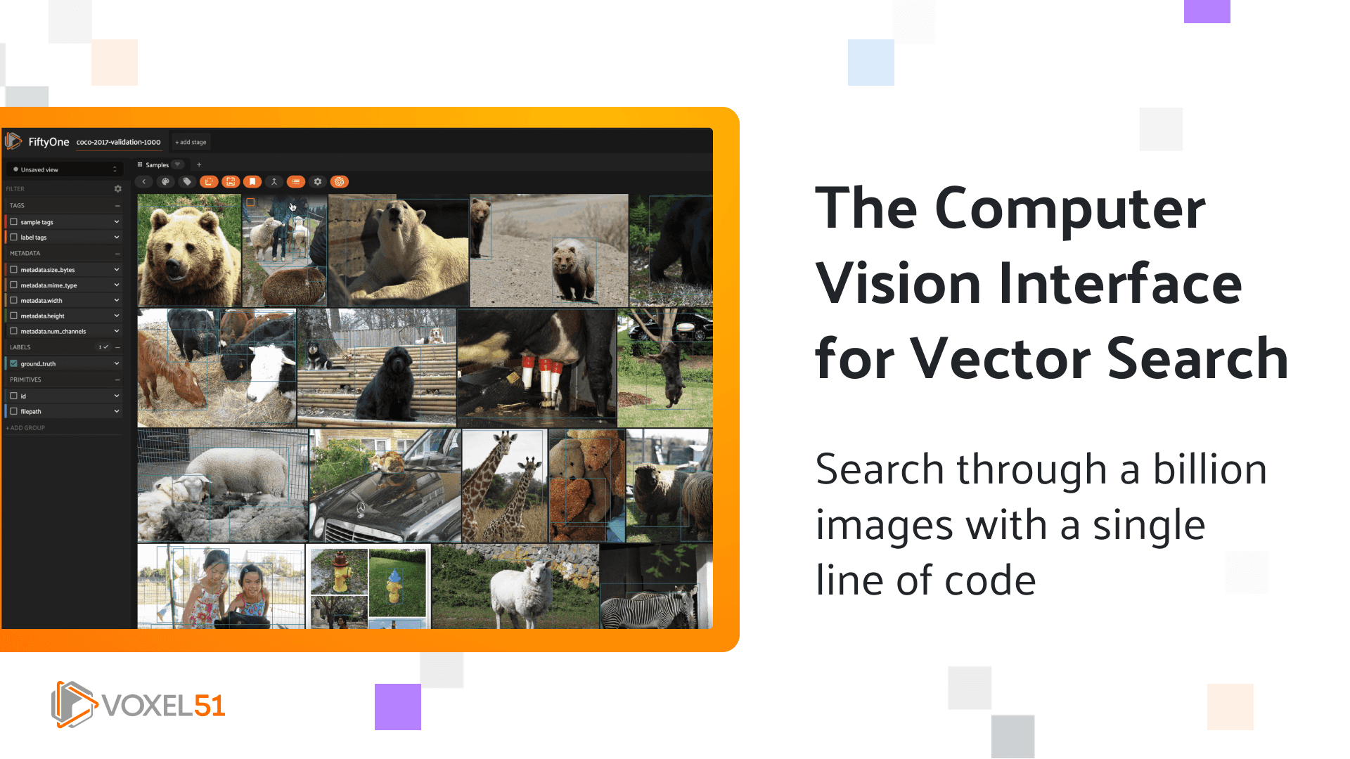 The Computer Vision Interface for Vector Search - Voxel51